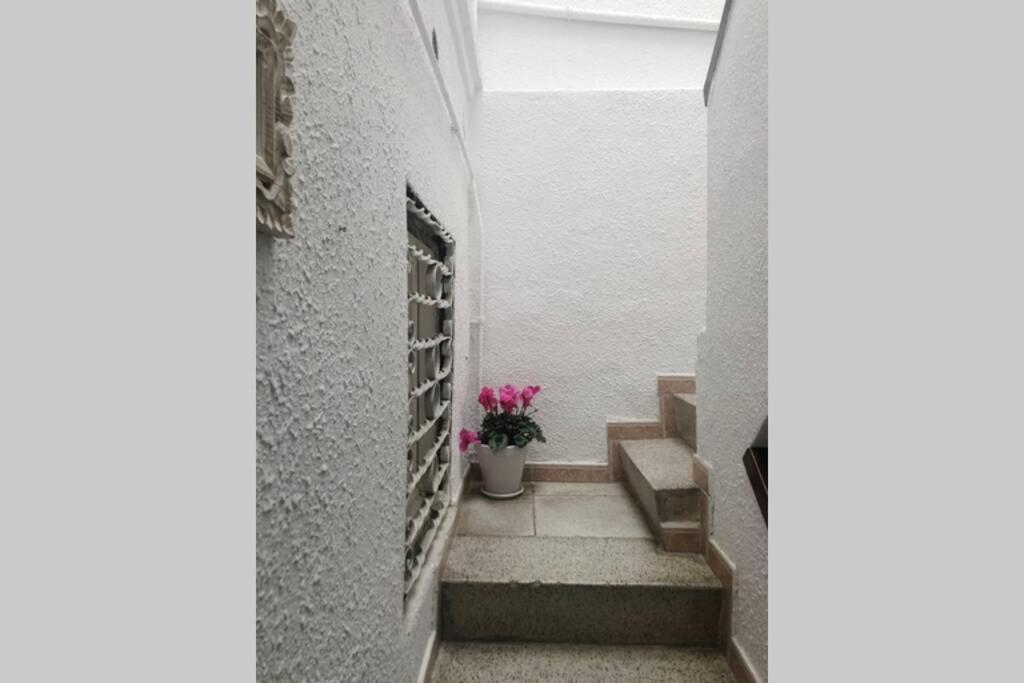 Apartament M5 Cool Terrace. Metro 1 Min. Center 15' By Metro Esplugues de Llobregat Zewnętrze zdjęcie