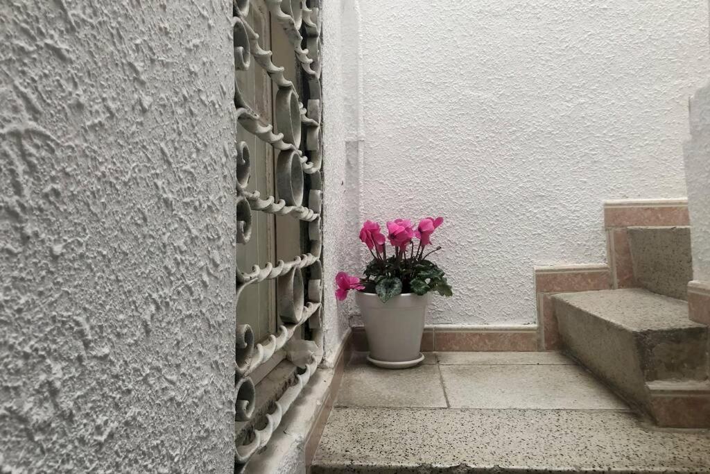 Apartament M5 Cool Terrace. Metro 1 Min. Center 15' By Metro Esplugues de Llobregat Zewnętrze zdjęcie